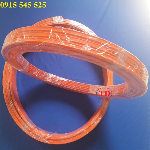 Hình ảnh ray điện an toàn 3P50A