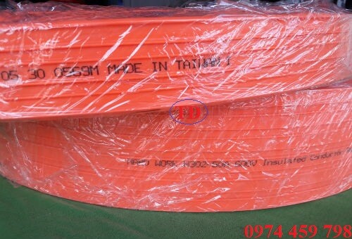 Ray điện an toàn cầu trục H302-50A